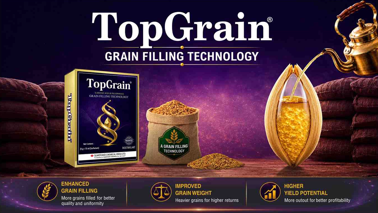TopGrain Harvest Day - Bheemanahalli, Mandya, Karnataka