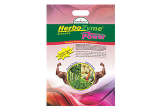 SUMITOMO HERBOZYME POWER GR
