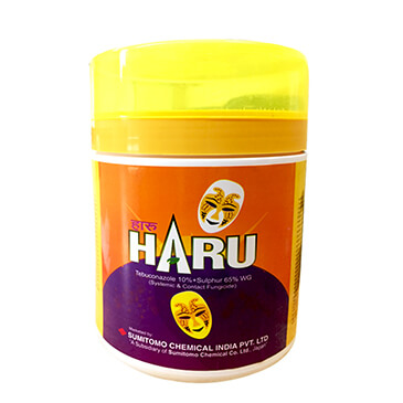 SUMITOMO Haru