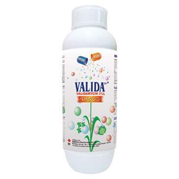 SUMITOMO Validacin