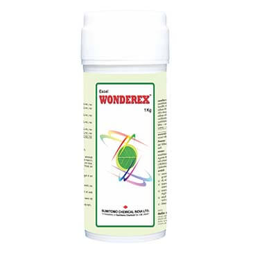 SUMITOMO WONDEREX