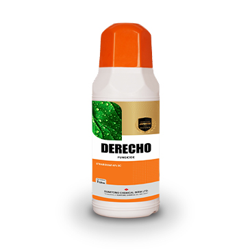 SUMITOMO Derecho