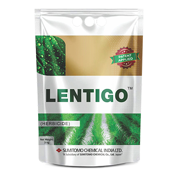 SUMITOMO Lentigo