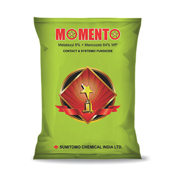 SUMITOMO MOMENTO