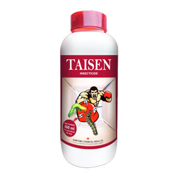 SUMITOMO TAISEN